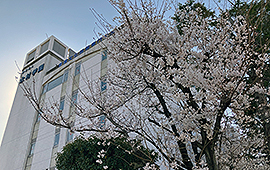 第88回（2025年度）入学式